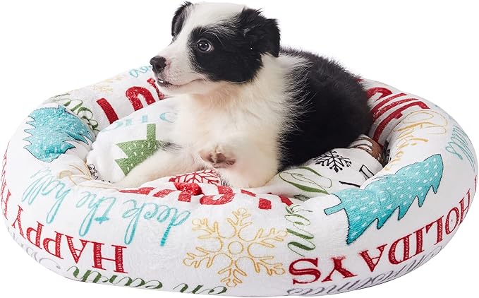 Levtex Home - Santa Claus Lane - 23in x 14in x 6in - Pet Bed - Christmas Sentiment and Santa - White, Red, Green, Teal, Black - 100% Polyester Velour