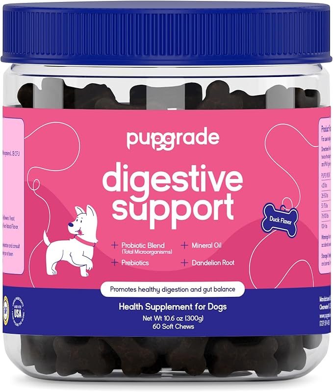 PupGrade Digestive Support for Dogs - Prebiotic + Probiotic Supplement with Enzyme Blend - Gut and Immune Support - Pumpkin, Blueberry, Mineral Oil, Duck Flavor - 60 Soft Chews