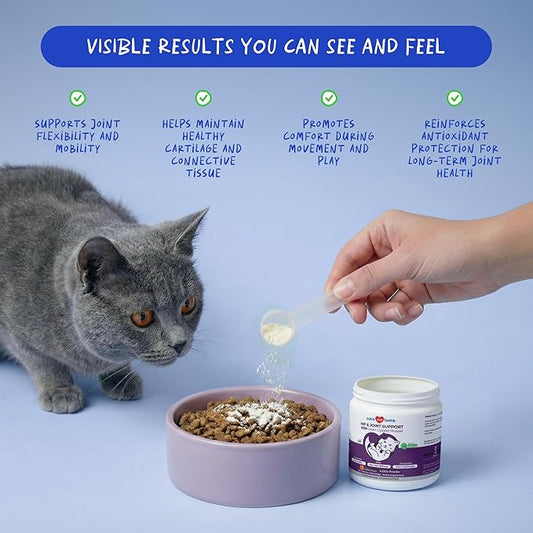 Hip and Joint Supplement for Cats - Glucosamine Powder with Green Lipped Mussel, MSM, Chondroitin, and Vitamin E - 4.23oz/120g