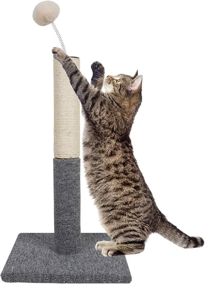 Cat Scratching Post with Carpet Botton Base and Spring Teasing Toy Ball for Indoor Cats and Kittens Grey
