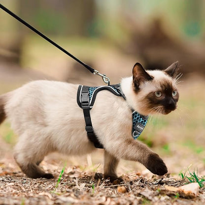 Cat Harness and Leash for Walking Escape Proof Soft Adjustable Cat Leash Breathable Honeycomb Structure Comfortable Vest Easy to Wear Kitten Harness for Outdoor Travel, Honeycomb Blue, M
