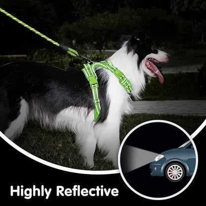 PoyPet No Pull Dog Harness and 5 Feet Leash Set, Release on Neck Reflective Adjustable Pet Vest, Front & Back 2 D-Ring and Soft Padded Pet Harness with Handle for Small to Large Dogs(Green,M)