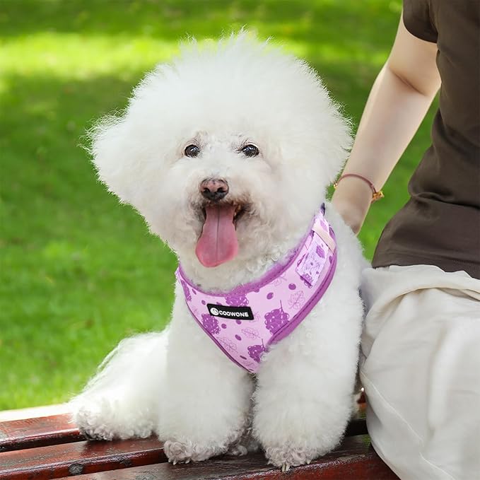 Dog Harness and Leash Set, Adjustable Dog Harness, Dog Leash, No Pull No Choke Puppy Harnesses for Walking Training for Small Medium Pet (Wines, S(Chest 13-19", Neck 9.5-13.1"))