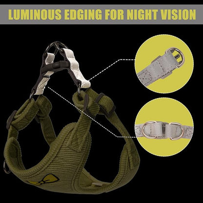 No Pull Dog Harness with Leash Pet Soft Vest Harness and Leash Set Dog Cat No Choke Escape Proof Harness Reflective Step in Harness for Small Medium Dogs Cats(Pastel Green, Large)