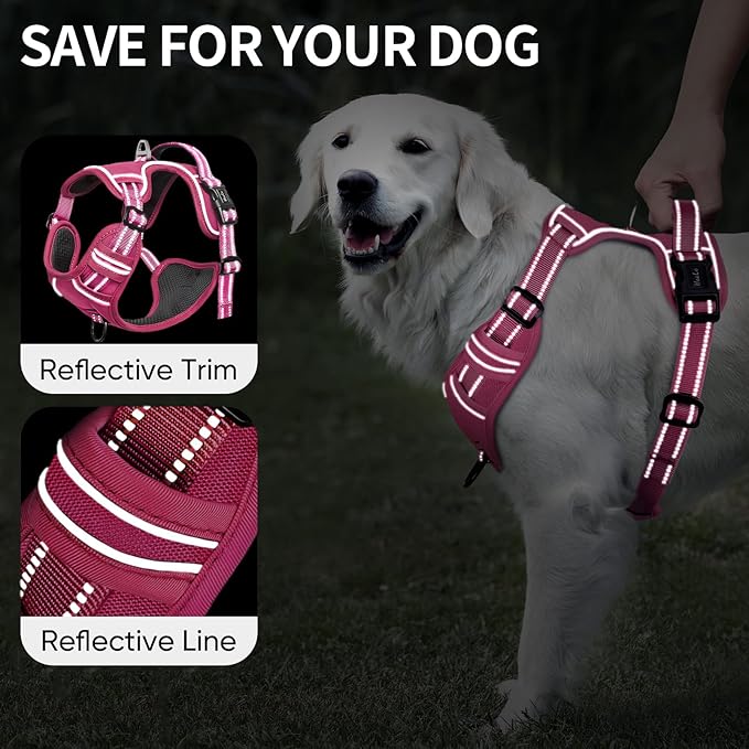 HEELE Dog Harness for Medium Dogs No Pull Dog Vest Harness with Soft Padded Handle Reflective for Outdoor Training, Rose(Matching Trim), M
