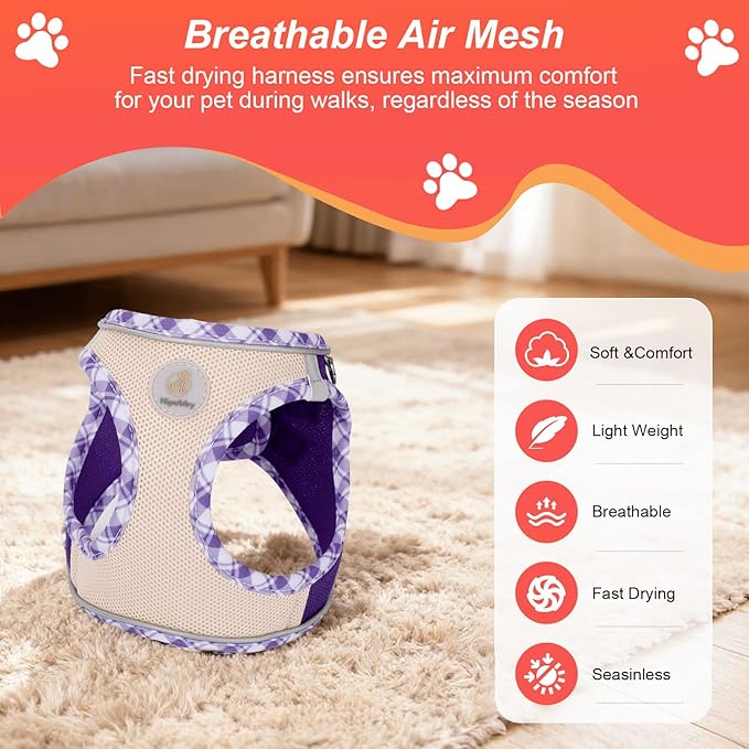 Hipubby Dog Harness Small Sized and Leash Set, No Pull Soft Mesh Puppy Vest, Reflective Breathable Lightweight Pet Harness, Harness for Small Medium Dogs and Cats - Purple/White Trim, XXS