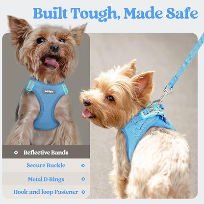 rabbitgoo Dog Harness Small Sized and Leash Set, Step in Soft Light Puppy Vest, Breathable Mesh Pet Harness, Reflective for Safe Easy Walking, Blue XXXS