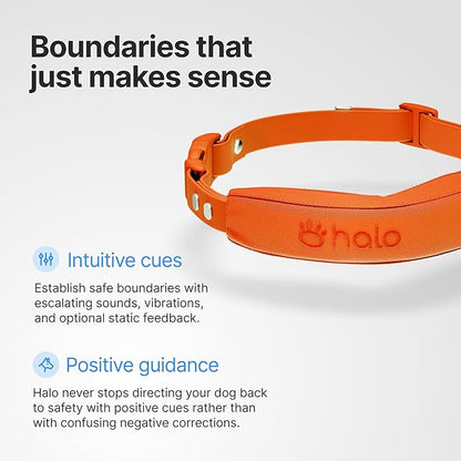Halo Collar 5 Wireless Dog Fence & GPS Dog Collar, Keep Your Dog Safely Contained Outdoors with App-Controlled Boundaries and Real-Time Tracking, One Size, Realtree Camo