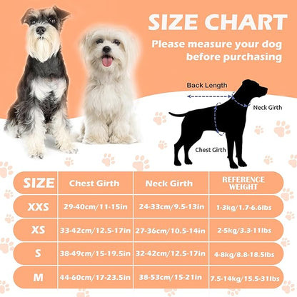 No Pull Dog Harness Adjustable Small Dog Harness and Leash Set, Lightweight and Soft Dog Harness No Choke Escape Proof Pet Harness Vest (Blue Rose, XX-Small)