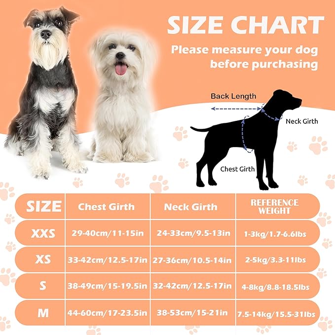 No Pull Dog Harness Adjustable Small Dog Harness and Leash Set, Lightweight and Soft Dog Harness No Choke Escape Proof Pet Harness Vest (Green Daisy, XX-Small)