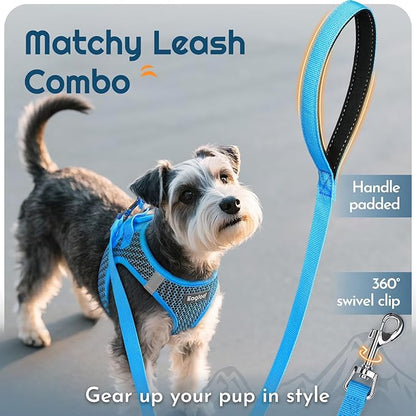 Eagloo Small Dog Harness and Leash Set, Step in Puppy Vest with Breathable Soft Mesh, Walking Reflective Pet Harness for Small Dogs, Blue, S