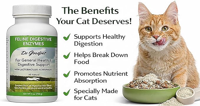 Dr. Goodpet Feline Digestive Enzymes with Probiotics & Prebiotics – Daily Digestive Support Powder for Cats – Promotes Cat Digestion, Nutrient Absorption & Healthy Stool – Vegan
