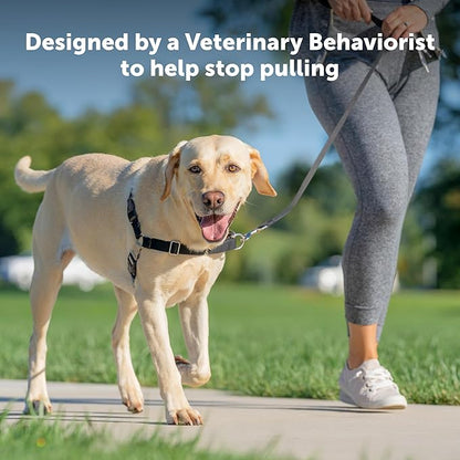 PetSafe Easy Walk Harness for Dogs - Pull-Free Walks - Patented Martingale Loop Design - Front Chest Leash Attachment - Comfort Straps - Breathable Harness Design - Small/Medium, Apple Green/Gray