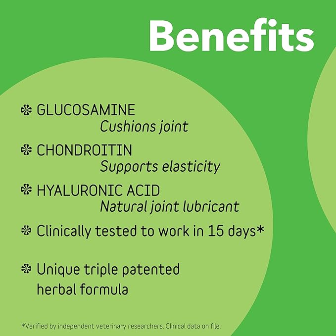 InClover Connectin Natural Hip & Joint Supplement for Dogs with Glucosamine, Chondroitin & Hyaluronic Acid - Powder for Dog Mobility, Comfort & Active Lifestyle Support, 12oz
