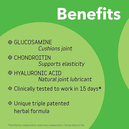 InClover Connectin Natural Hip & Joint Supplement for Dogs with Glucosamine, Chondroitin & Hyaluronic Acid - Powder for Dog Mobility, Comfort & Active Lifestyle Support, 12oz