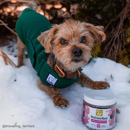 Only Natural Pet Mushroom Blend Immune System Support Supplement for Dogs - Boost Healthy Cellular, Digestive, & Liver Function - Multivitamin Beta-Glucan & Antioxidant - Bacon Flavor 60 Soft Chews