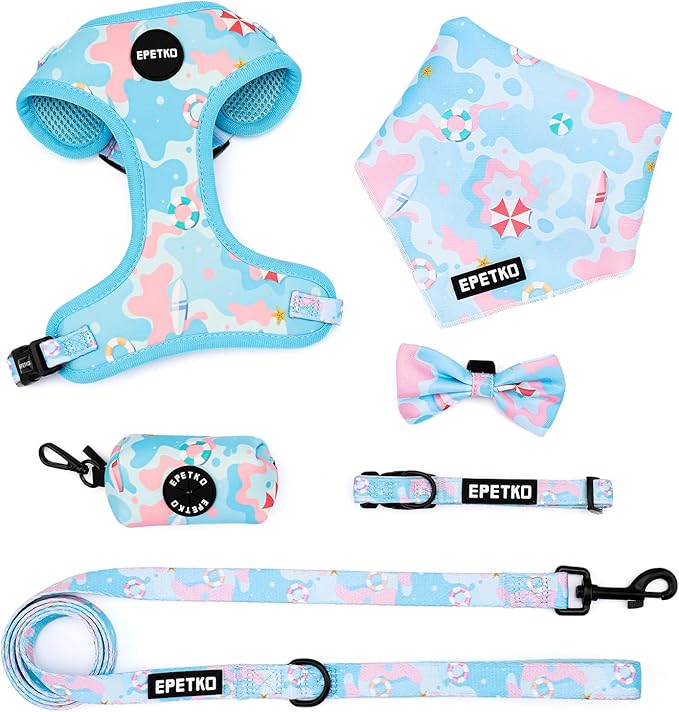Small Dog Harness and Leash Set of 6, No Pull Soft Lightweight Mesh Puppy Harness， Adjustable Cute Floral Pattern Pet Harness for Small Medium Dogs (Blue Sea, L)