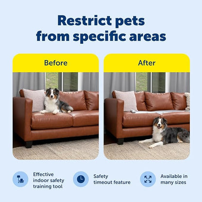 PetSafe ScatMat Indoor Training Mat