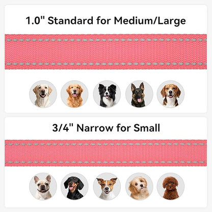Joytale Dog Leash, 5 FT Double-Sided Reflective, Padded Handle Nylon Heavy Duty Leashes for Small Dogs Walking, Neon Pink