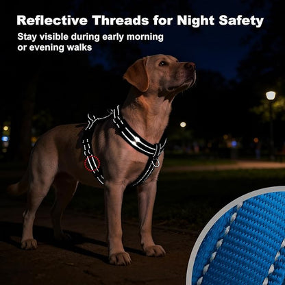 No Pull Dog Harness with Handle, Soft Mesh Padded Adjustable for Small Medium Large Dogs | Reflective Easy Walk Harness with Front Clip for Training, Running & Outdoor (Royal Blue, M)