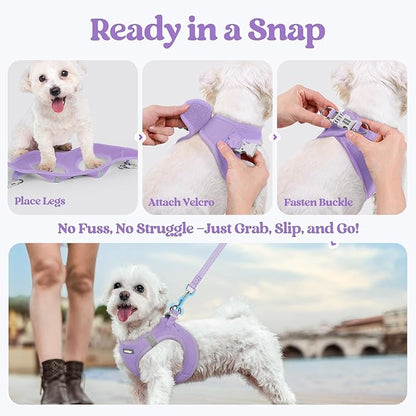 rabbitgoo Dog Harness Small Medium Sized and Leash Set, Step in Soft Light Puppy Vest, Breathable Mesh Pet Harness, Reflective for Safe Easy Walking, Light Purple L