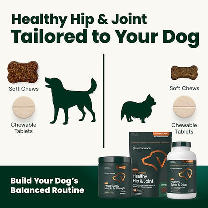 VetriScience Ultimate Strength Healthy Hip & Joint Chews, GlycoFlex Glucosamine, Chondroitin & GreenLipped Mussel Support Supplement for Dogs, Soothe Joint Discomfort, Duck,120 Ct (Pack of 2)