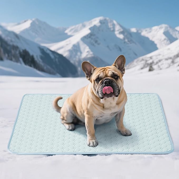 Soulbond Cooling Mat for Medium Dogs - 29"x40" Washable Cooling Pad for Dogs & Cats, QMAX>0.3, Anti-Slip Bottom, Portable Summer Cool Pet Bed Pad for Outdoor/Indoor/Cars/Travel Use, Aqua Green