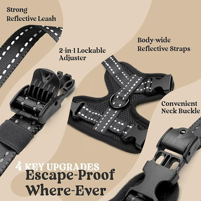 rabbitgoo Cat Harness and Leash, Escape Proof Vest with 3 Adjustable Buckles, Soft Comfortable Kitten Harness, Easy to Wear, Reflective for Safe Outdoor Walking, Small, Black