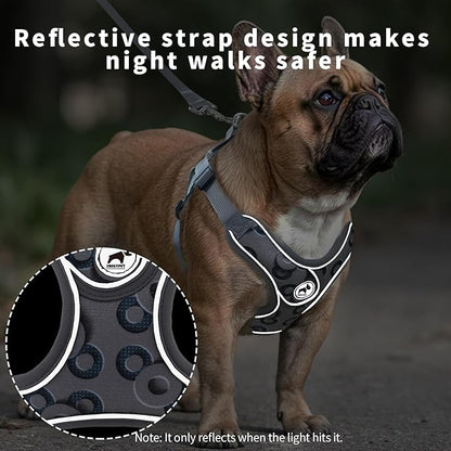 Dog Harness with Leash Set, No Pull Adjustable Step in Dog Harness Vest Harness for Large Dogs Training and Running (L, Gray with Circle)