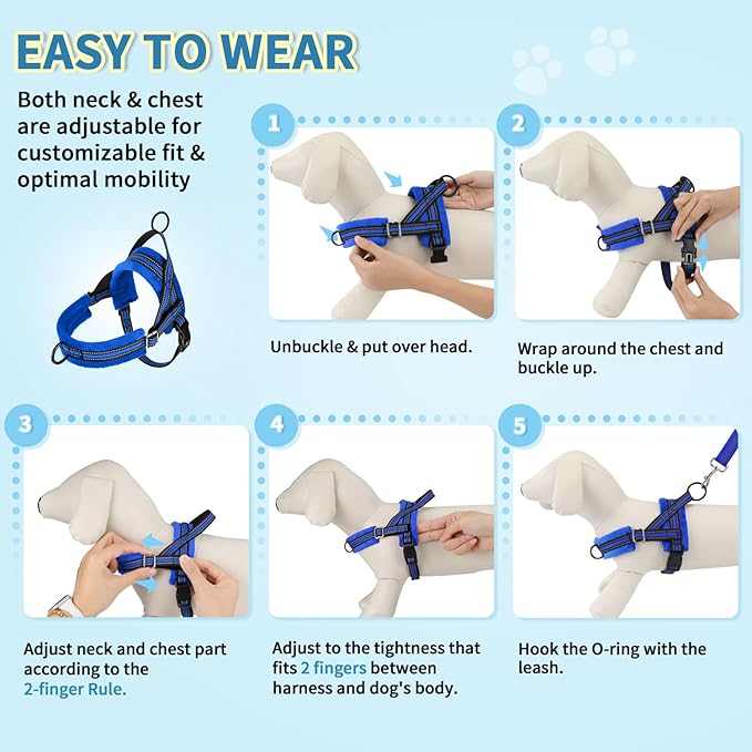 Lukovee No Pull Dog Harness and Leash Set, Soft Padded Small Dog Harness, Neck & Chest Adjustable Reflective Vest Puppy Harness with 4ft Lightweight Anti-Twist Dog Leash for Small Dogs (S, Blue)