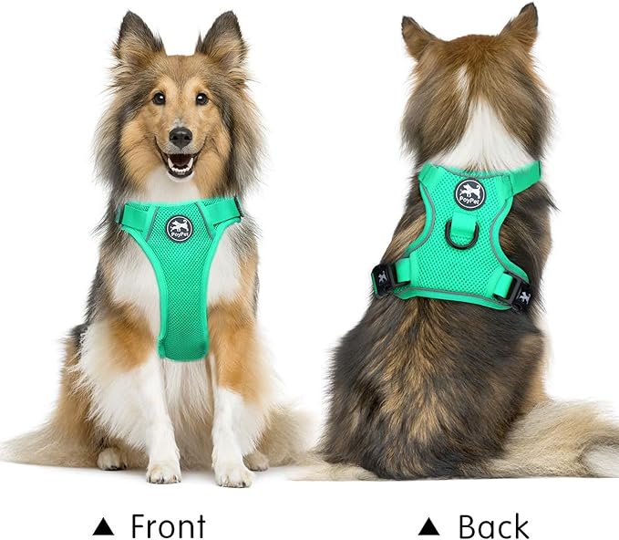 PoyPet Reflective Soft Breathable Mesh Dog Harness Choke-Free Double Padded Vest with Adjustable Neck and Chest(Mint Green,XL)