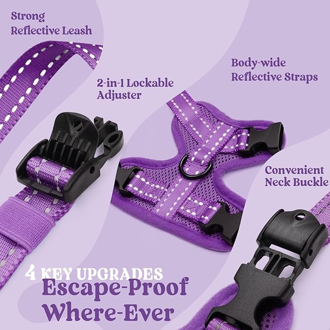 rabbitgoo Cat Harness and Leash, Escape Proof Vest with 3 Adjustable Buckles, Soft Comfortable Kitten Harness, Easy to Wear, Reflective for Safe Outdoor Walking, Small, Purple