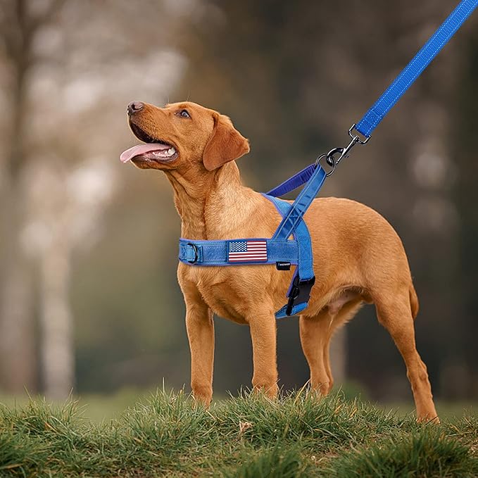 Annchwool No Pull Dog Harness with Soft Padded Handle,Reflective Strip Escape Proof and Quick Fit to Adjust Dog Harness,Easy for Training Walking for Small & Medium and Large Dogs(Blue,XL)