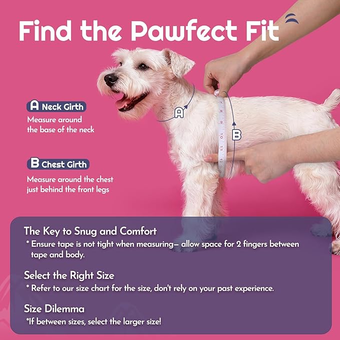 Eagloo Small Dog Harness and Leash Set, Step in Puppy Vest with Breathable Soft Mesh, Walking Reflective Pet Harness for Small Dogs, Rose Red, S