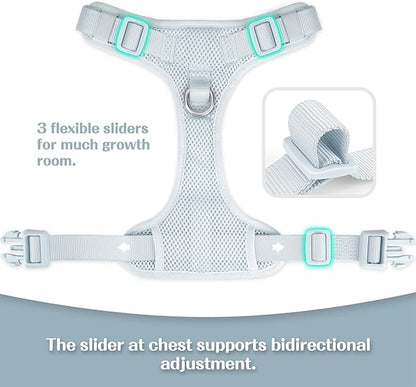 No Pull Dog Harness for Small Medium Large Dogs - Adjustable 2 Layer Mesh Dog Vest with Dual Clip, Escape Proof, Quick Release, Lightweight Breathable Mesh for Walking Hiking (Light Blue,S)
