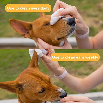 SONO Dog Wipes with Aloe & Chamomilla - Gentle Pet Wipes for Paws, Butt, Face & Body - Cleaning, Deodorizing, Puppy & Cat Friendly - Unscented, 100 Count