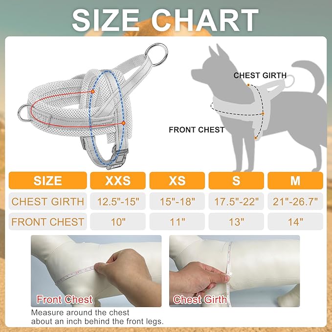 BEAUTYZOO Dog Harness for Small Dogs, No Pull Dog Harness and Leash Set, Soft Escape Proof Puppy Vest Harness with Handle, Reflective Lightweight Step in Harness for Girl Boy Dogs, Red S