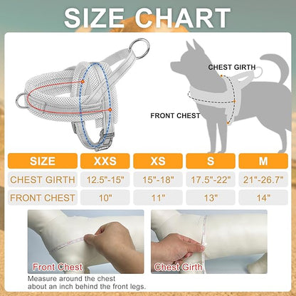 BEAUTYZOO Dog Harness for Small Dogs, No Pull Dog Harness and Leash Set, Soft Escape Proof Puppy Vest Harness with Handle, Reflective Lightweight Step in Harness for Girl Boy Dogs, Purple S