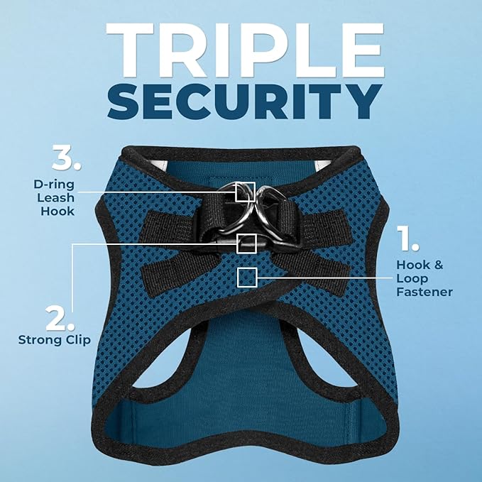 Best Pet Supplies Voyager Step-in Air All Weather Mesh Harness and Reflective Dog 5ft Leash Combo with Neoprene Handle, for Small, Medium and Large Breed Puppies - Set (Blue/Black Trim), X-Large