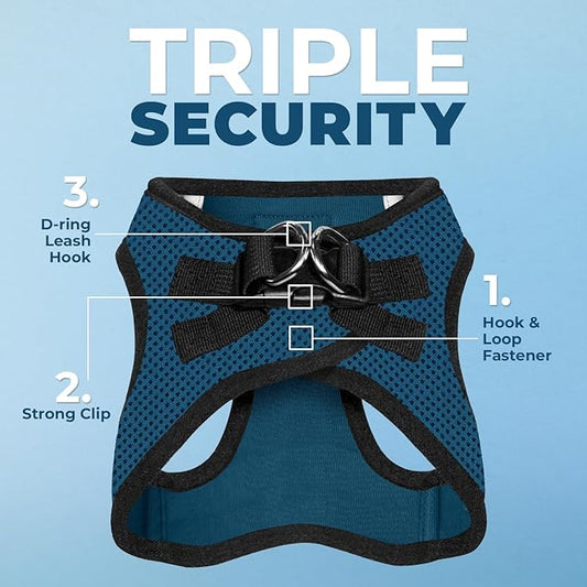 Best Pet Supplies Voyager Step-in Air All Weather Mesh Harness and Reflective Dog 5ft Leash Combo with Neoprene Handle, for Small, Medium and Large Breed Puppies - Set (Blue/Black Trim), Small