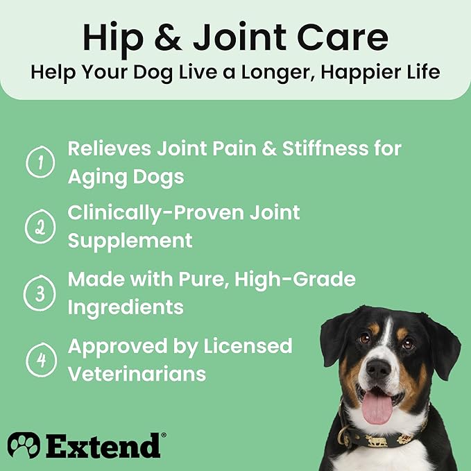 Extend Dog Hip and Joint Supplement Beef Flavored Powder Packets with Glucosamine, Chondroitin, MSM & Collagen, Hip & Joint Support, Mobility & Cartilage Health, Daily Dog Supplement, 60 Count