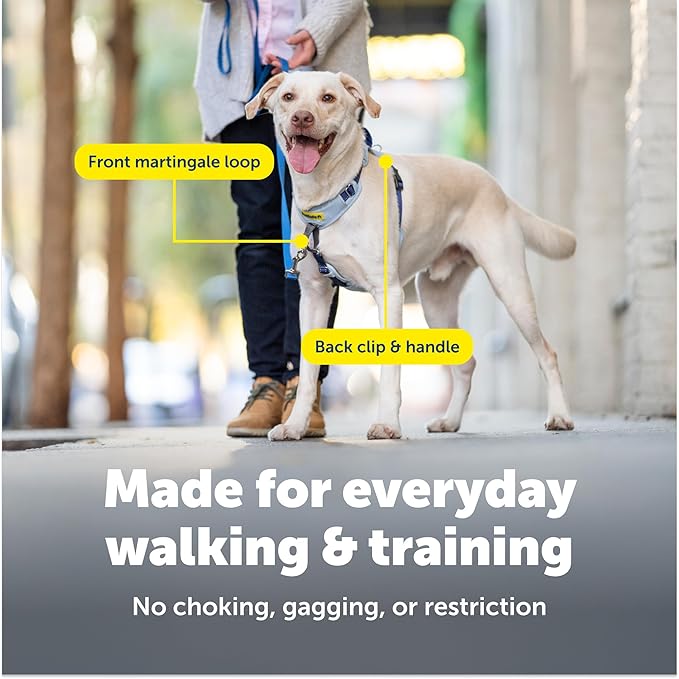 PetSafe Easy Walk Comfort No-Pull Dog Harness - Better Walk Training Harness - Full Body Padded Design - Durable Fabric - 5 Point Adjustable Fit - Everyday Leash Training - Pink - Small/Medium