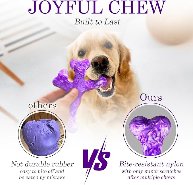 Frienhund 4 Pack (XL Cactus) Indestructible Tough Dog Toys for Aggressive Chewers: Beef Flavored Chew Bone for Large Dogs 20-90 lbs, Long Lasting & Keep Them Busy