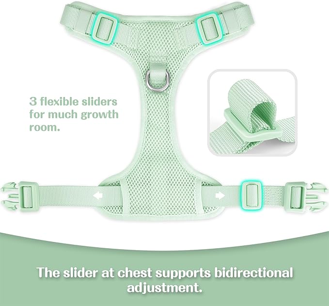 No Pull Dog Harness for Small Medium Large Dogs - Adjustable 2 Layer Mesh Dog Vest with Dual Clip, Escape Proof, Quick Release, Lightweight Breathable Mesh for Walking Hiking (Light Green,XS)