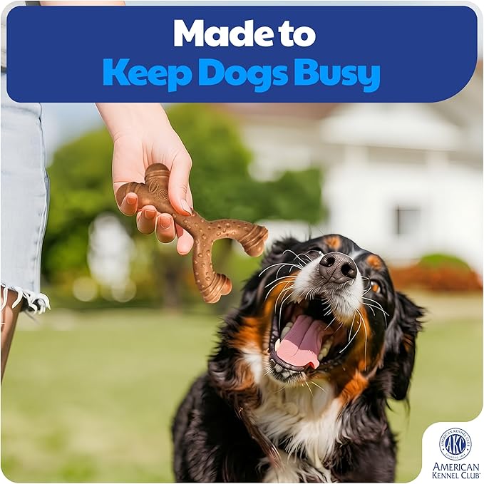 American Kennel Club 2 Pack Training Dog Chew Toy, Wood-Infused PP Wishbone and Ring Dog Toys, Durable Dog Toys for Moderate Chewers, Beef Scented for Long-Lasting Engagement, Supports Dental Health