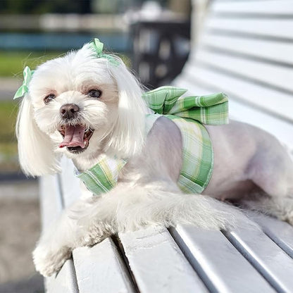 Cute Dog Harness and Leash Set with Bow Tie Soft Mesh Plaid Girl Puppy Harness No Pull Pet Cat Dog Vest Harness for Small Dogs Chihuahua Rabbit Outfit (Green,S)