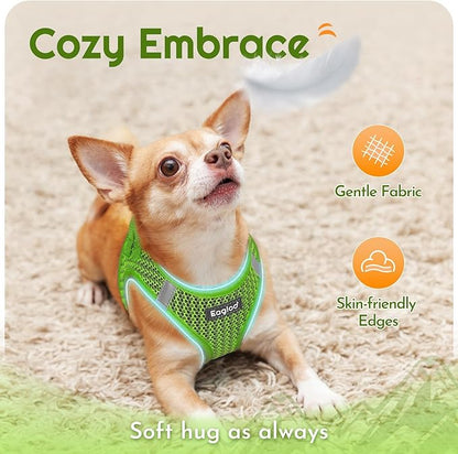 Eagloo Small Dog Harness and Leash Set, Step in Puppy Vest with Breathable Soft Mesh, Walking Reflective Pet Harness for Medium Small Dogs, Green, L