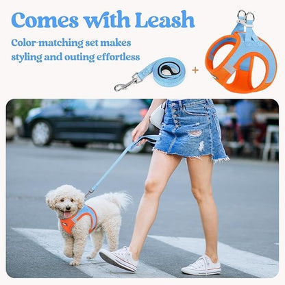 rabbitgoo Dog Harness Small Medium Sized and Leash Set, Step in Soft Light Puppy Vest, Breathable Mesh Pet Harness, Reflective for Safe Easy Walking, Blue & Orange L
