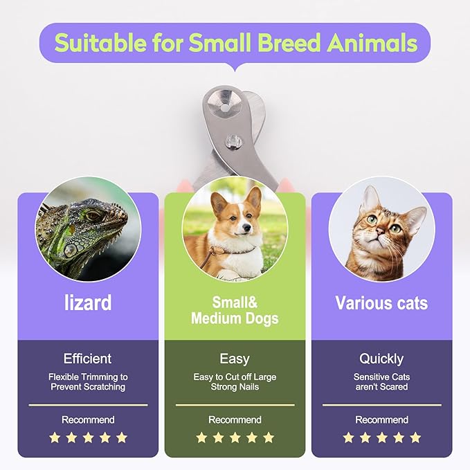 Cat Nail Clippers with Nail File, Kitten Claw Nail Clippers for Trimming, Stainless Steel Pet Bearded Nail Clippers Tool for Dragon, Guinea Pig, Rabbits, Birds, Ferret Small Breed Animals(Pink)