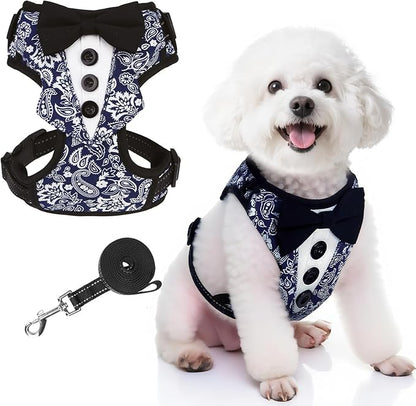 EXPAWLORER Dog Tuxedo Harness, Adjustable No Pull Pet Vest Harness with Leash Wedding Suit Attire with Bow Tie, Soft Padded Step-in Party Outfit Costume for Puppy Small Medium Dogs, Blue XS